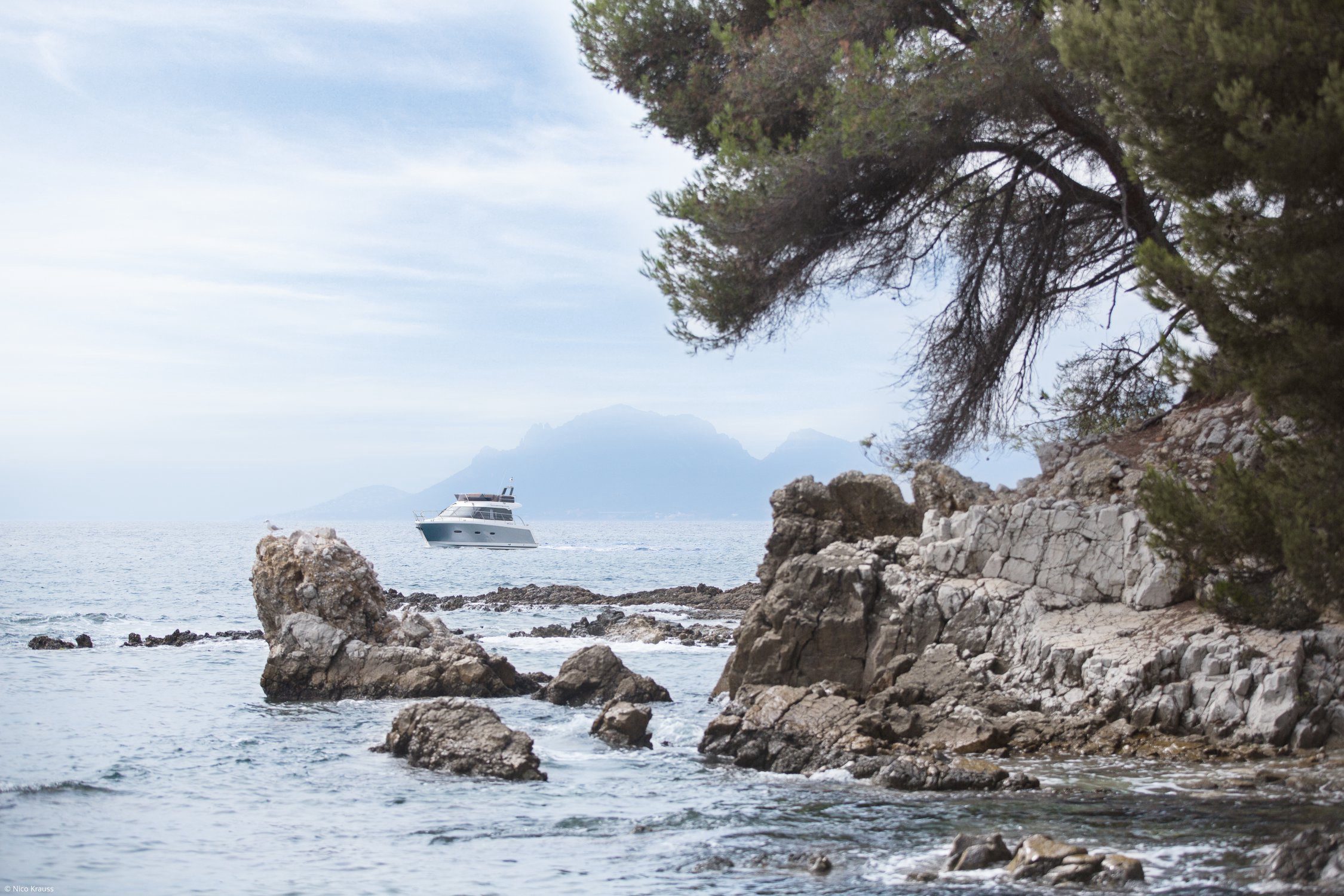 Sealine